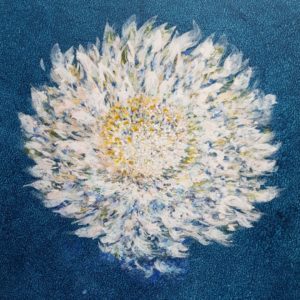 Grande astrance blanche (55x45,5cm)