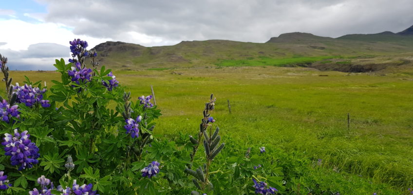 Entre Reykjavik et Hvalfjordur